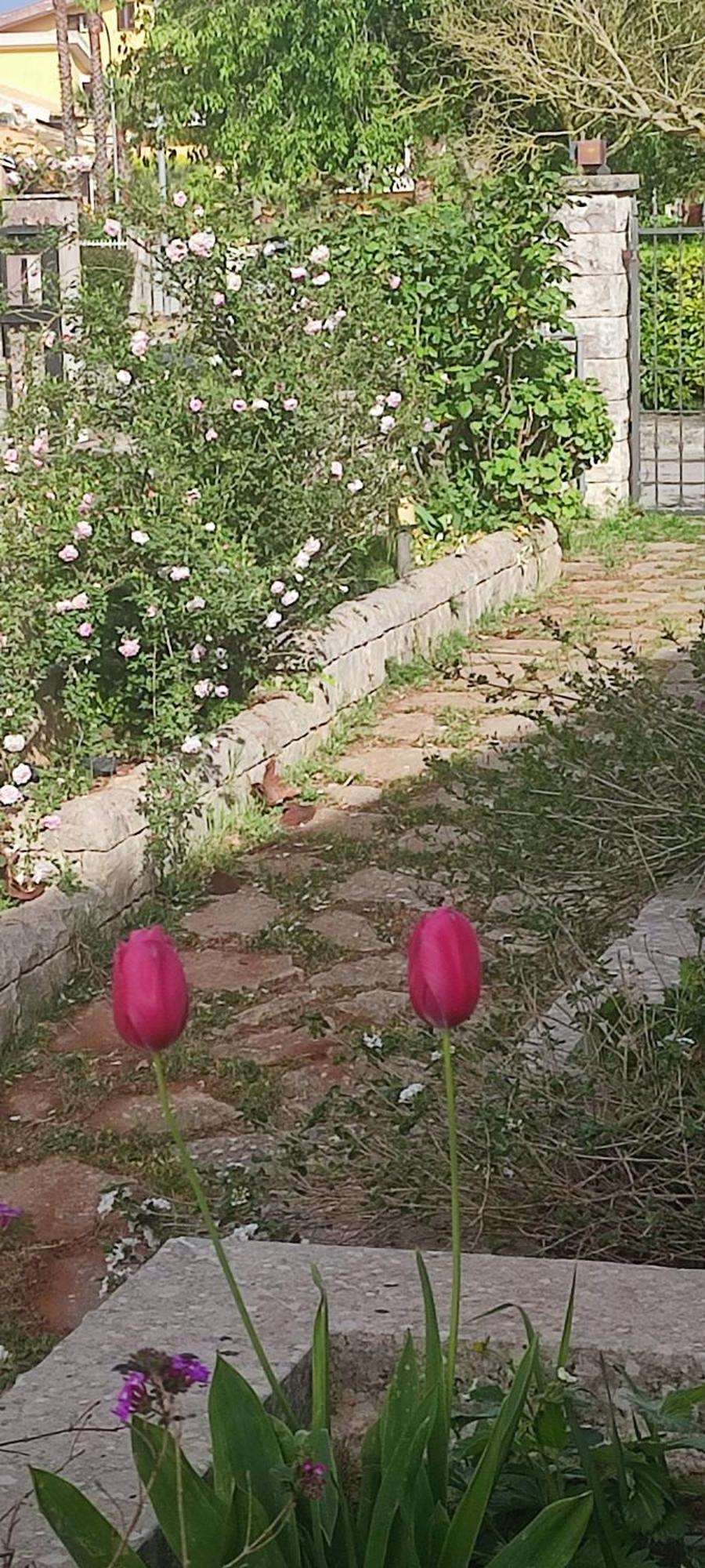 B&B Villa Victoria Ragusa Exterior photo